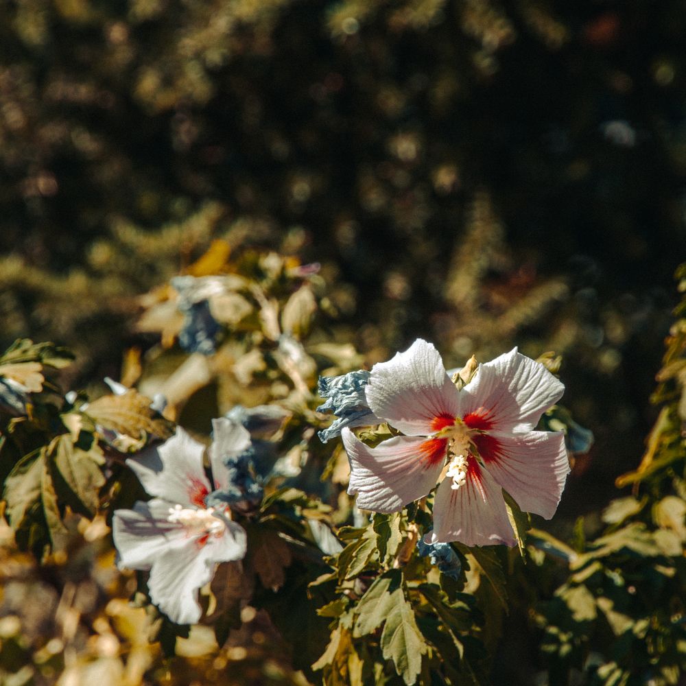 Photograph by Даниил Петруненко