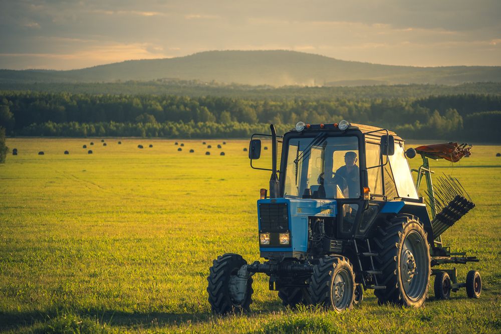 Photograph by Жданов Дмитрий