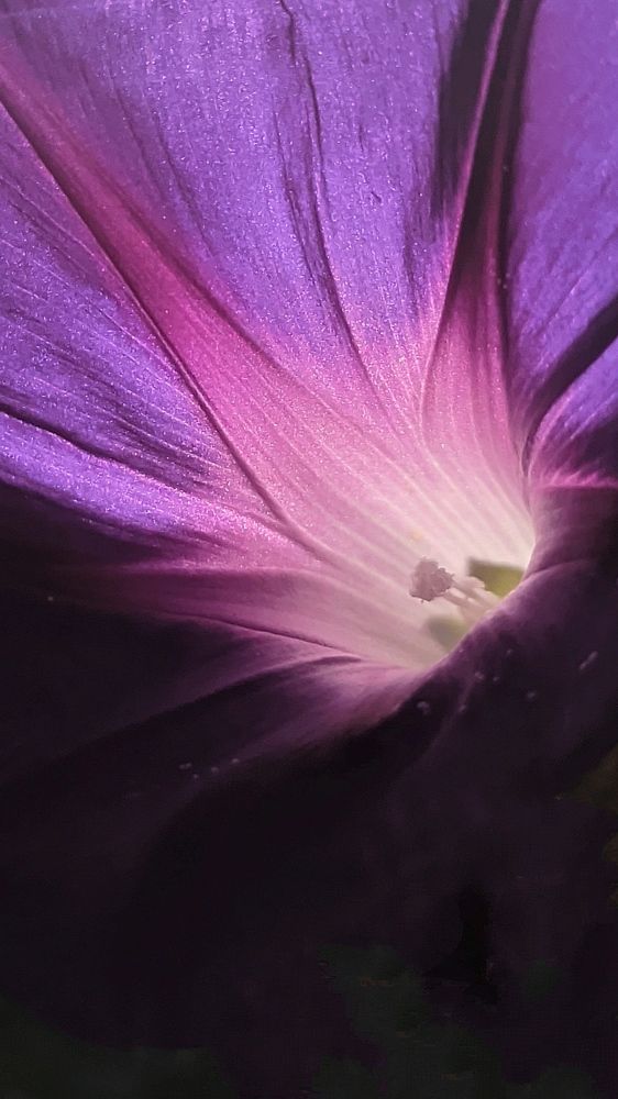 Фотография автора Васильева Ирина