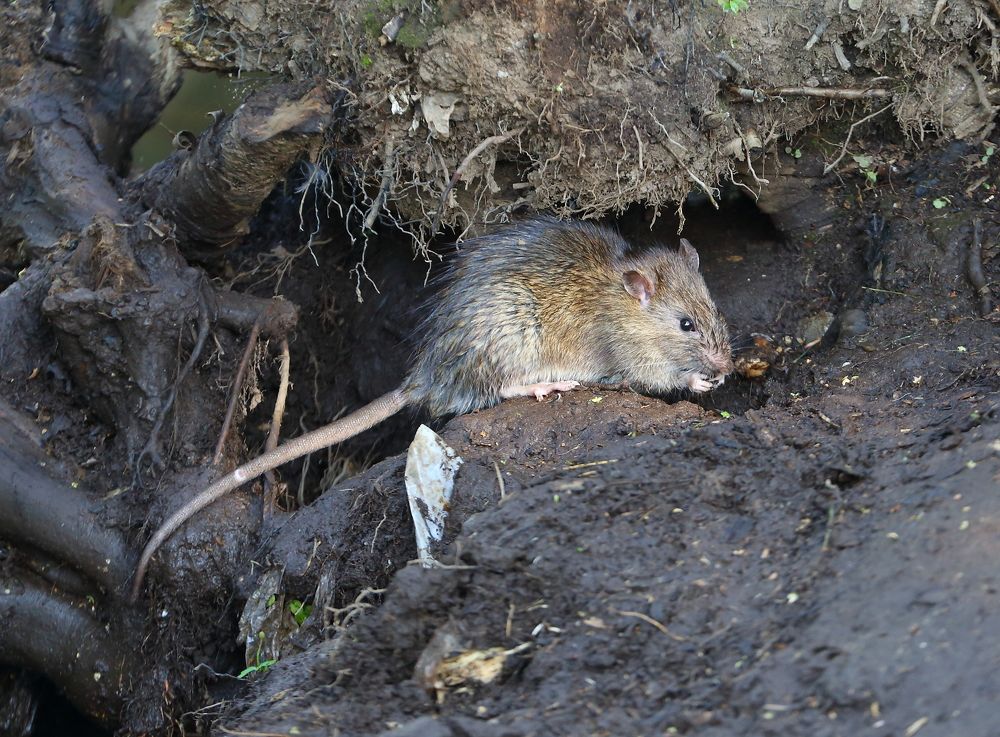 Photograph by Станислав Вершинин