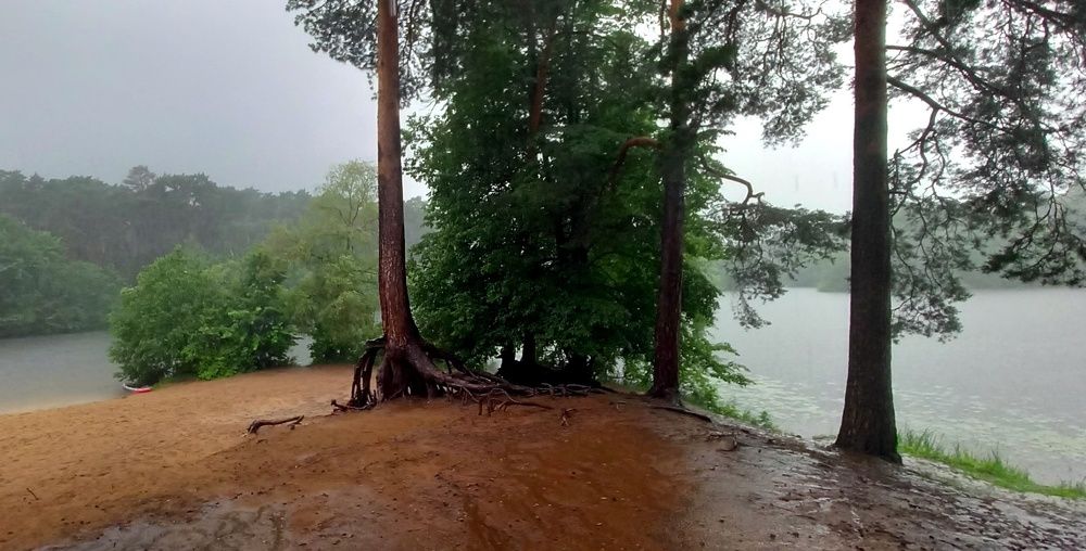 Некоторые люди наслаждаются дождем, другие - просто промокают.