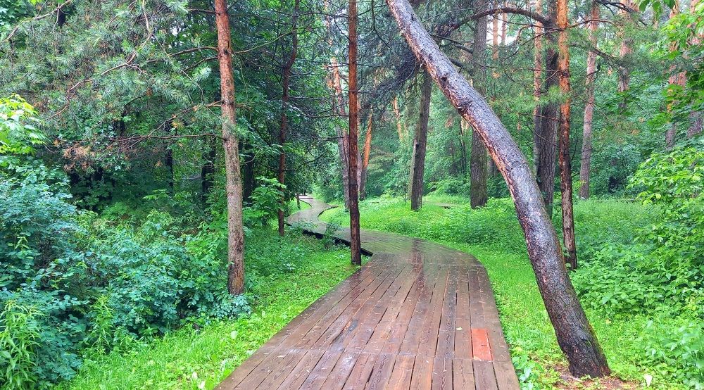 В летний день после изнурительной жары, теплый дождь бывает очень желанным. Главное — сделать первый шаг. Самое трудное вначале, потом пройдёт.