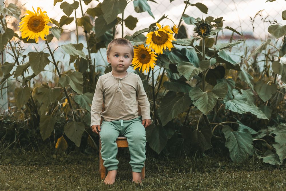 Фотография автора Надежда Воробьёва