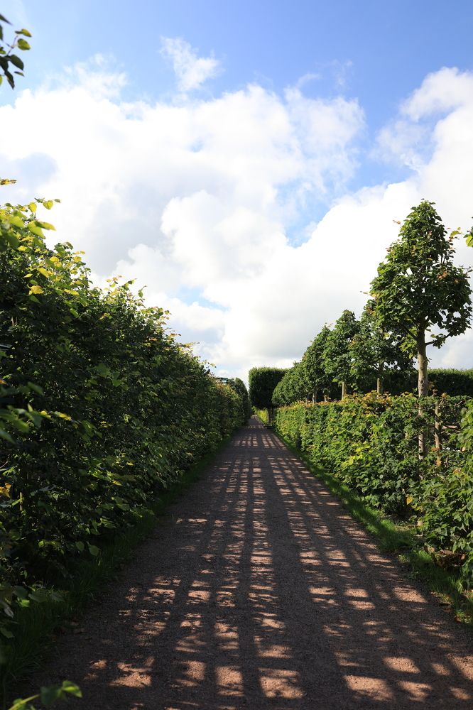 Photograph by Владимир Грибков