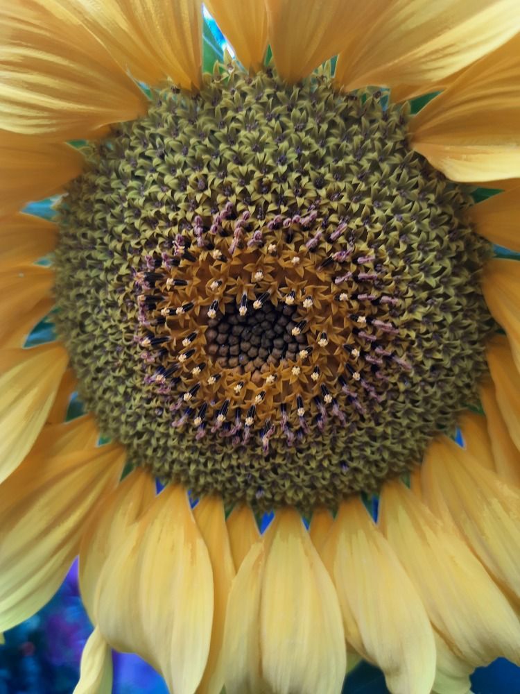 Photograph by Татьяна