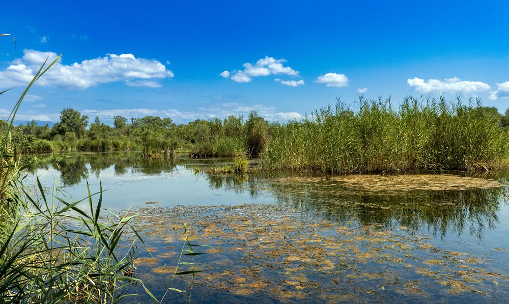 Photograph by Alex Kalpus