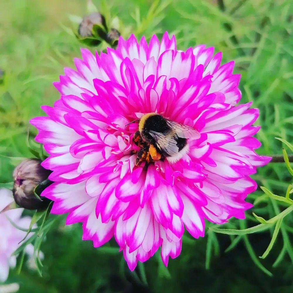 Photograph by Татьяна Бешенкина