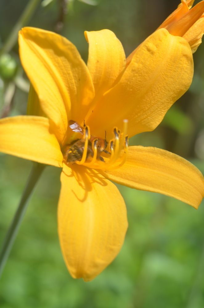 Photograph by Valentina