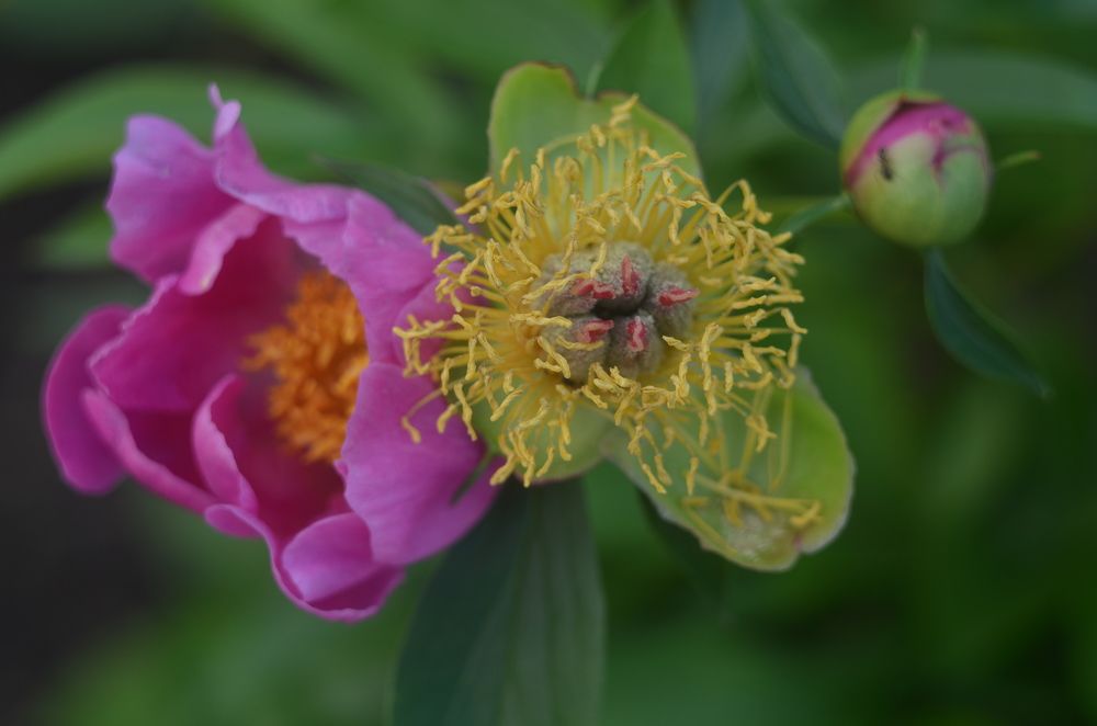 Photograph by Valentina