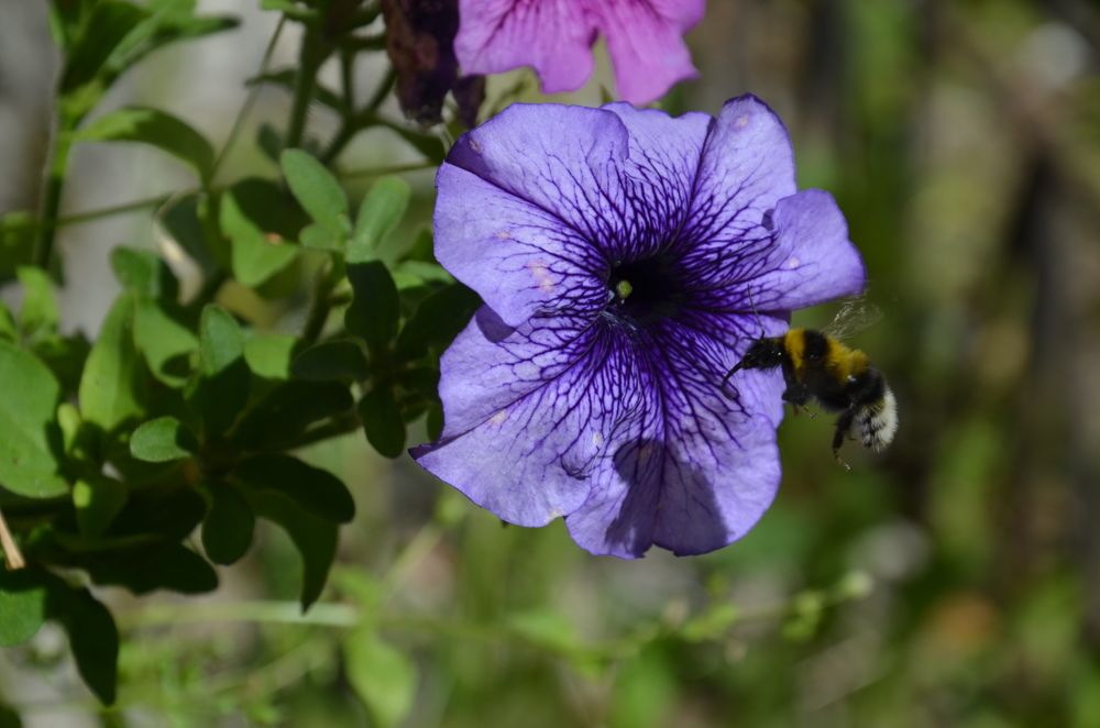 Photograph by Valentina