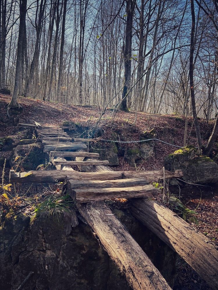 Photograph by Яна Сел