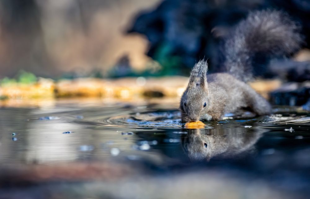 Фотография автора Simone Iaria