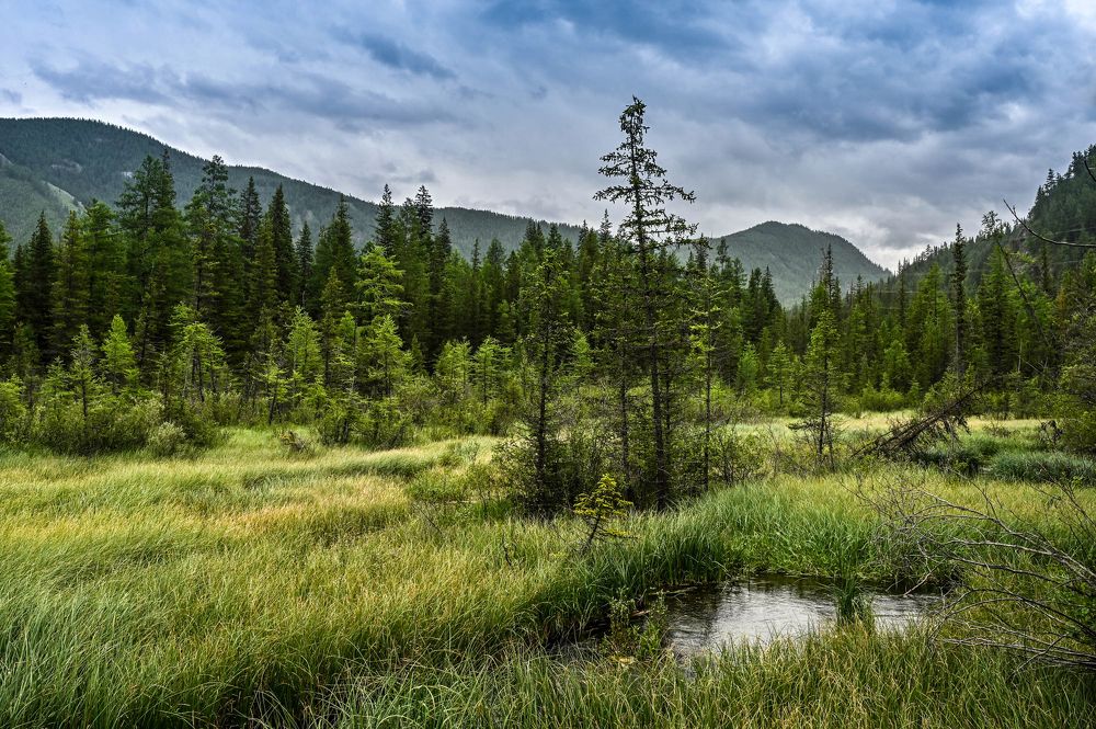 Акташ, Республика Алтай