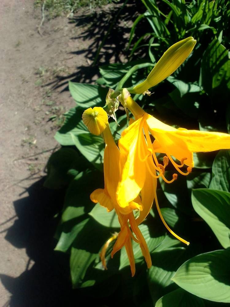 Photograph by Ольга Коркина