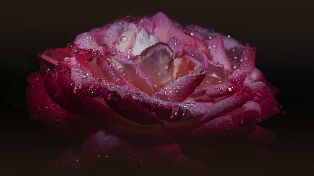 Photograph by Игорь Разенков