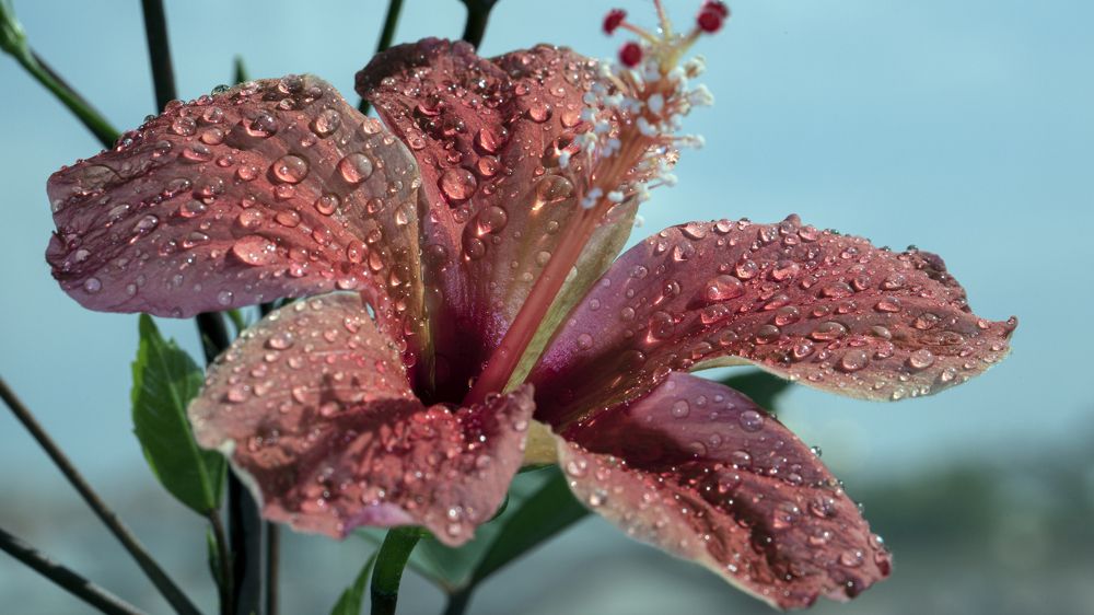 Photograph by Игорь Разенков