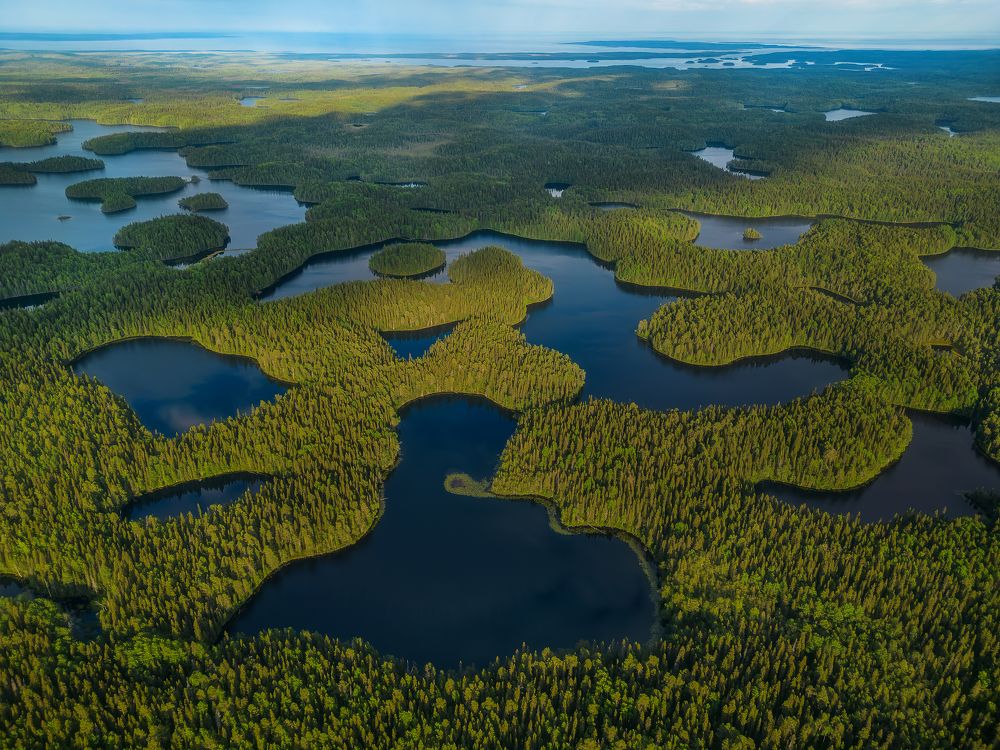 Photograph by Alexander Pashenichev