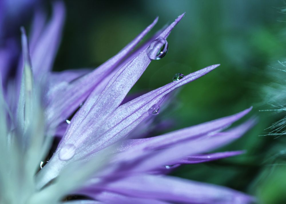 Photograph by Ольга Остапенко