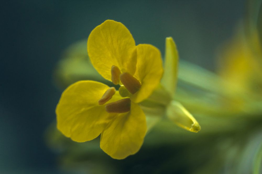 Photograph by Ольга Остапенко