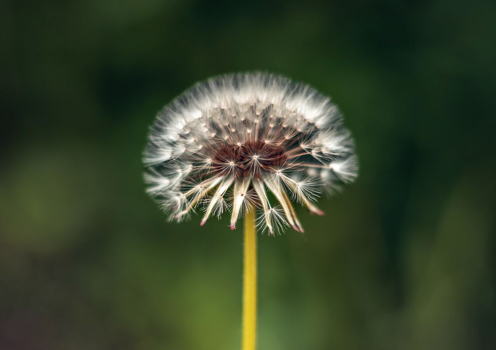 Photograph by Ольга Остапенко