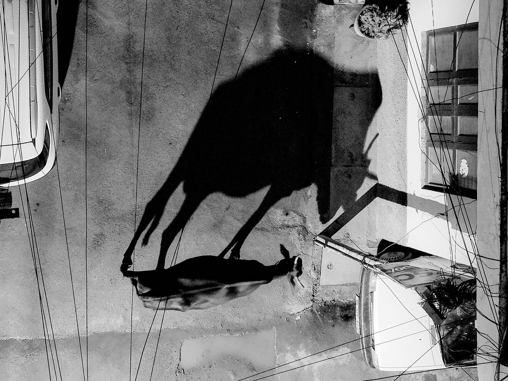 Фотография автора Anuj Medhavi