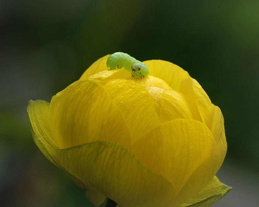 Photograph by LYUDMYLA POKRYSHEN