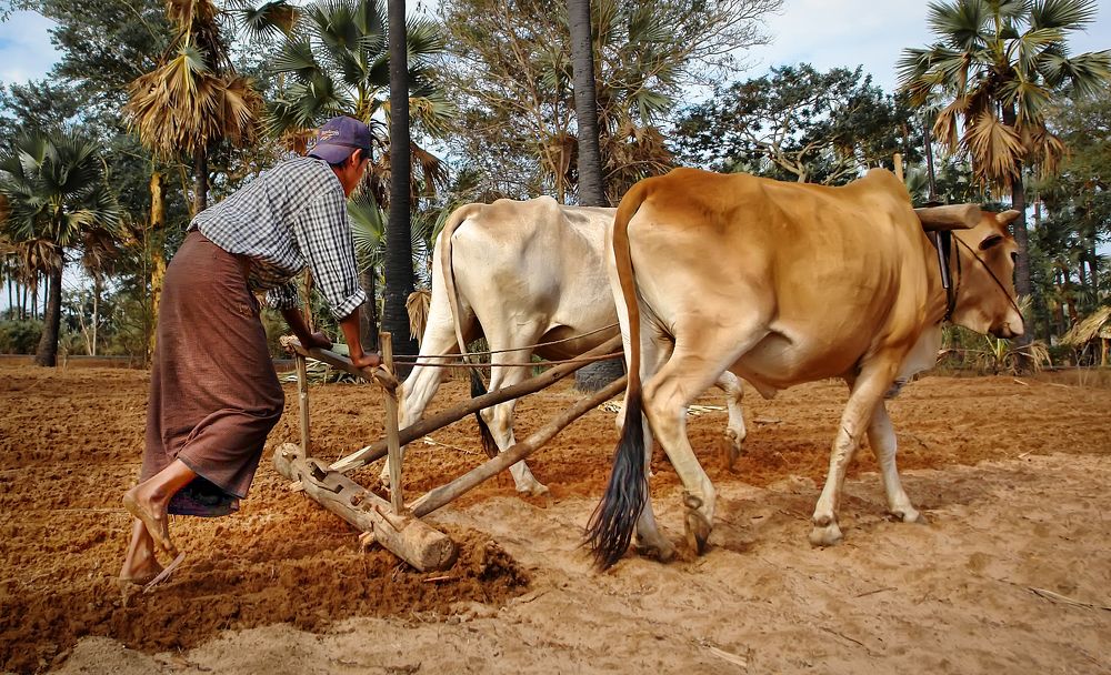 Photograph by Наталья Суслова