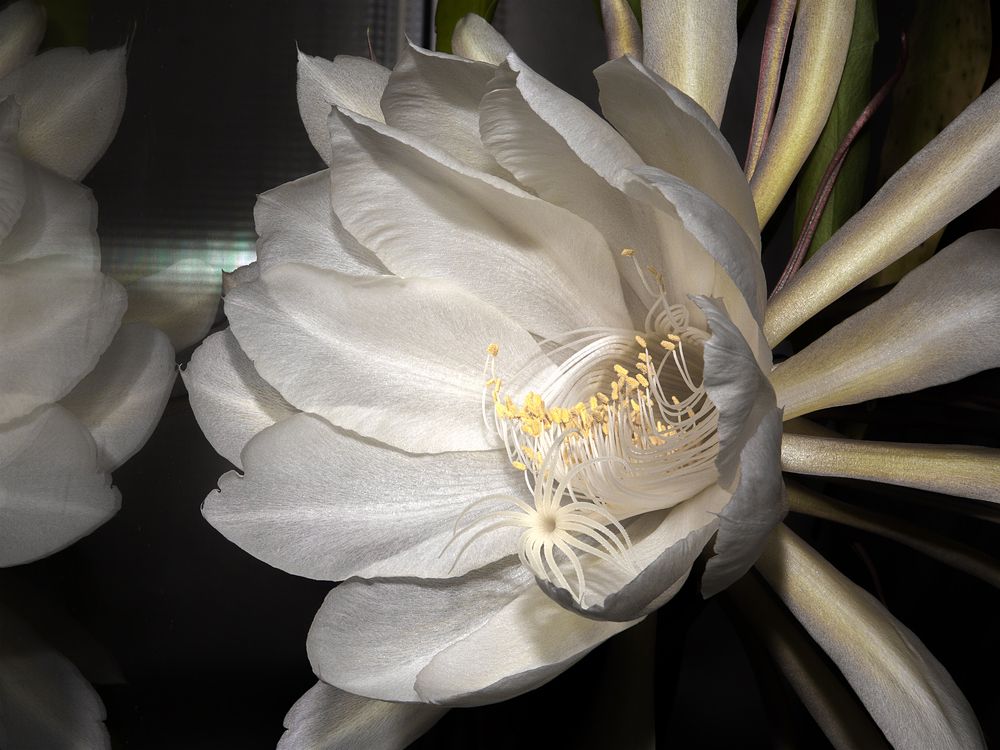 Фотография автора Алексей Карташов