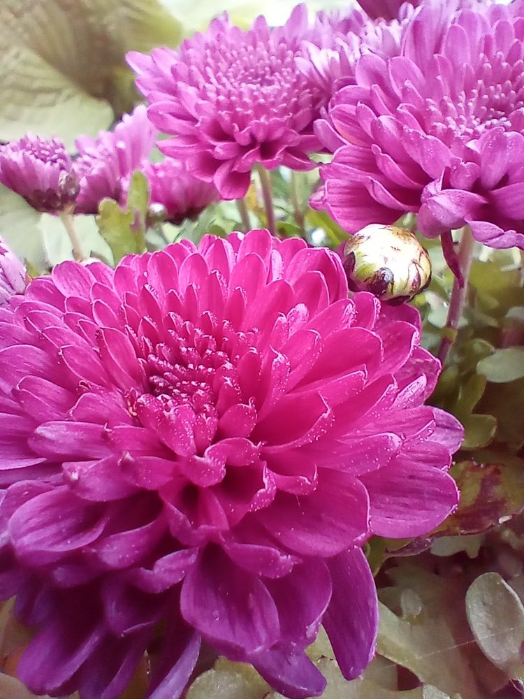 Photograph by Наталья Сырых