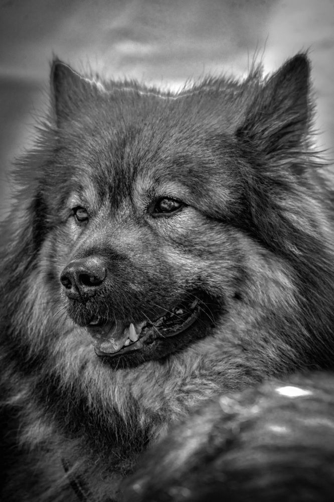 Фотография автора Ruslan Badykov