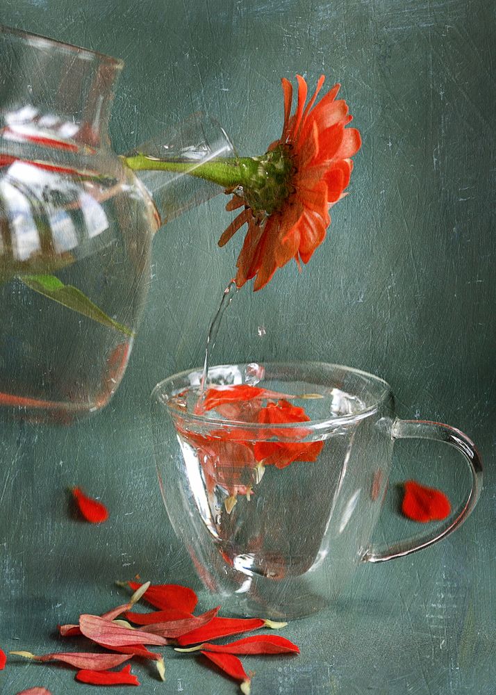 Photograph by Светлана