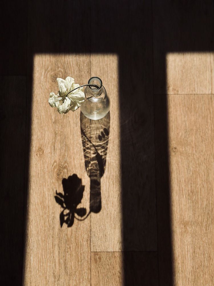 Photograph by Ольга Литвинова