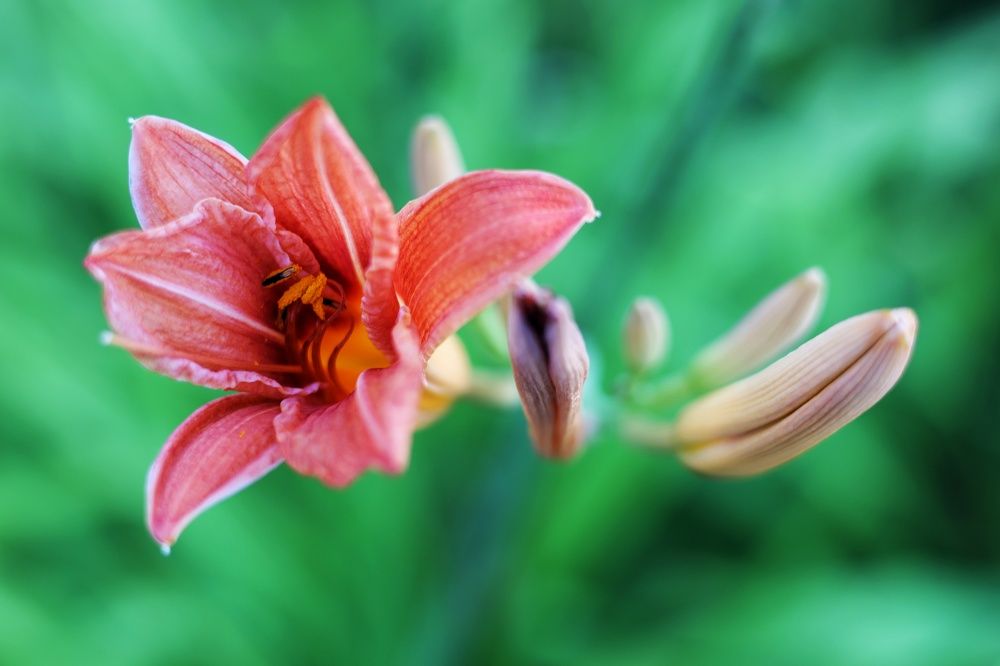 Photograph by Наталья Сафронова