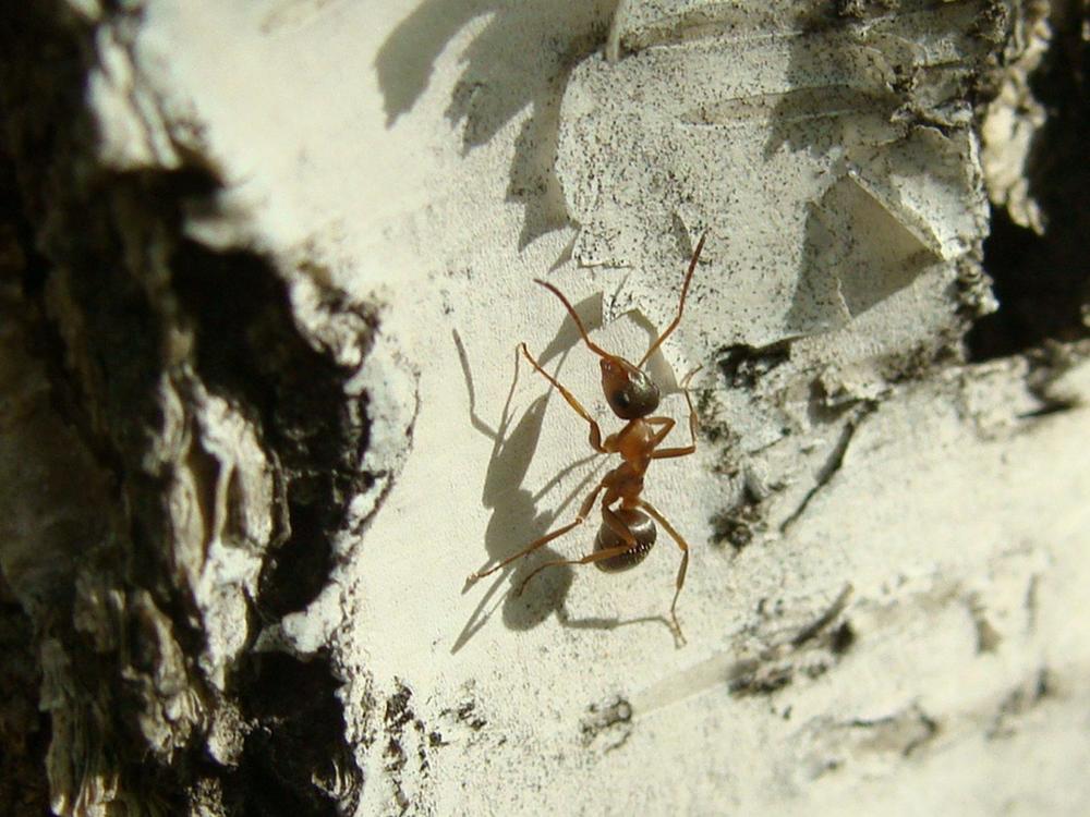 Фотография автора Павел Попов