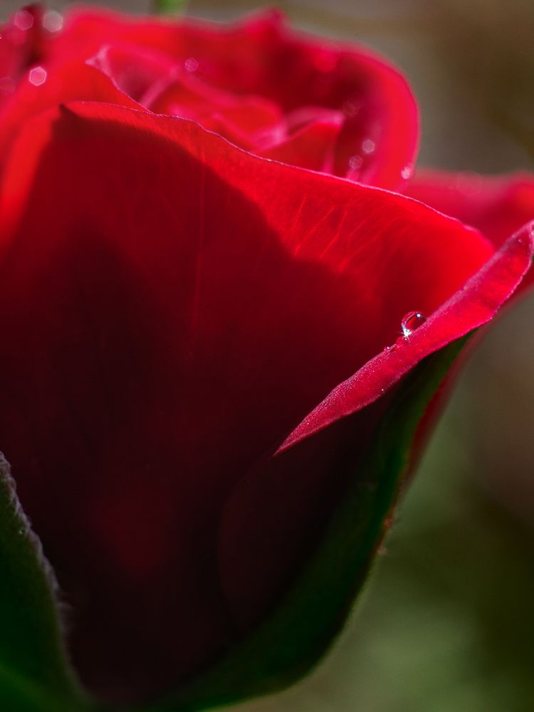 Фотография автора Борис Журавлёв