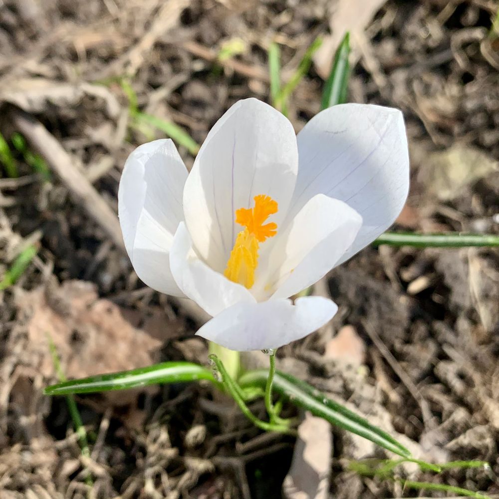 Photograph by Ионова Татьяна