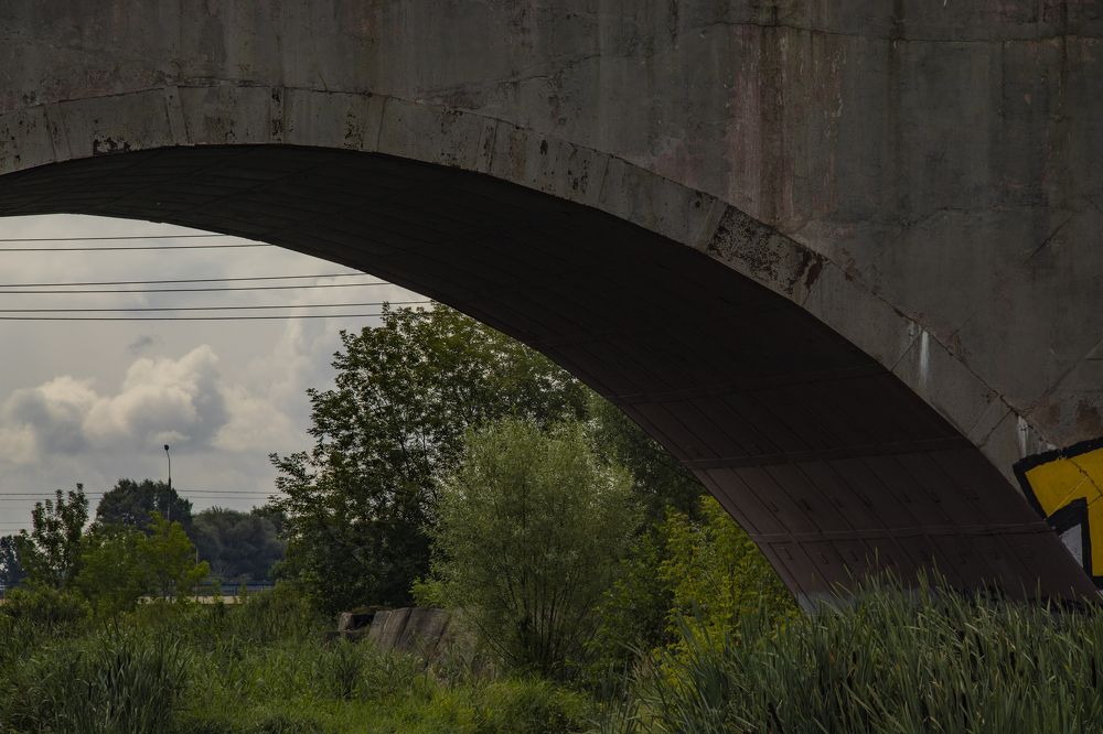 Photograph by Елена Попова