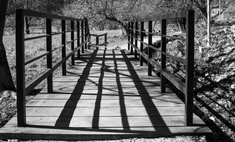 Photograph by Виктория Федосеенко