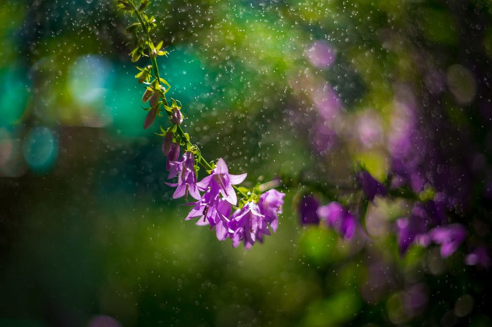 Photograph by Олег Дорошенко