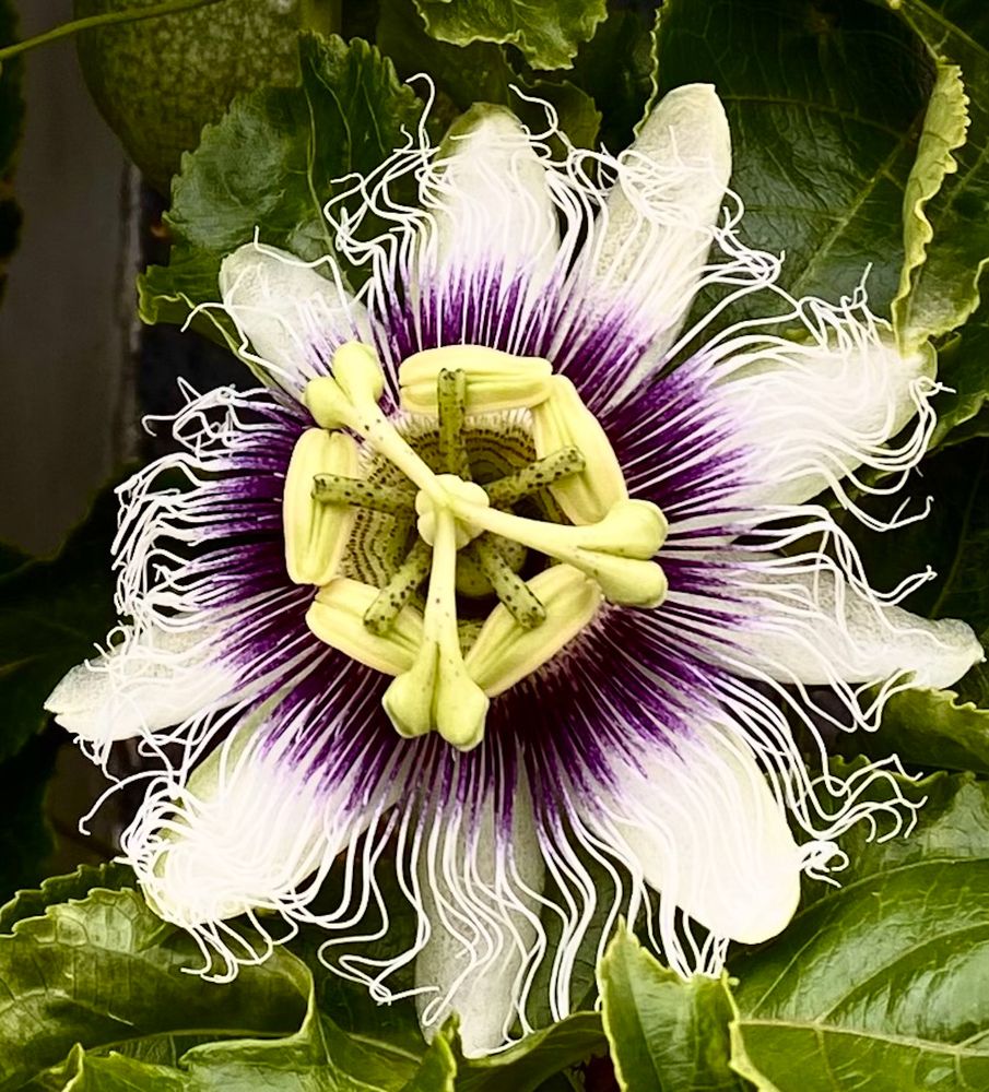 Фотография автора Galina Sa