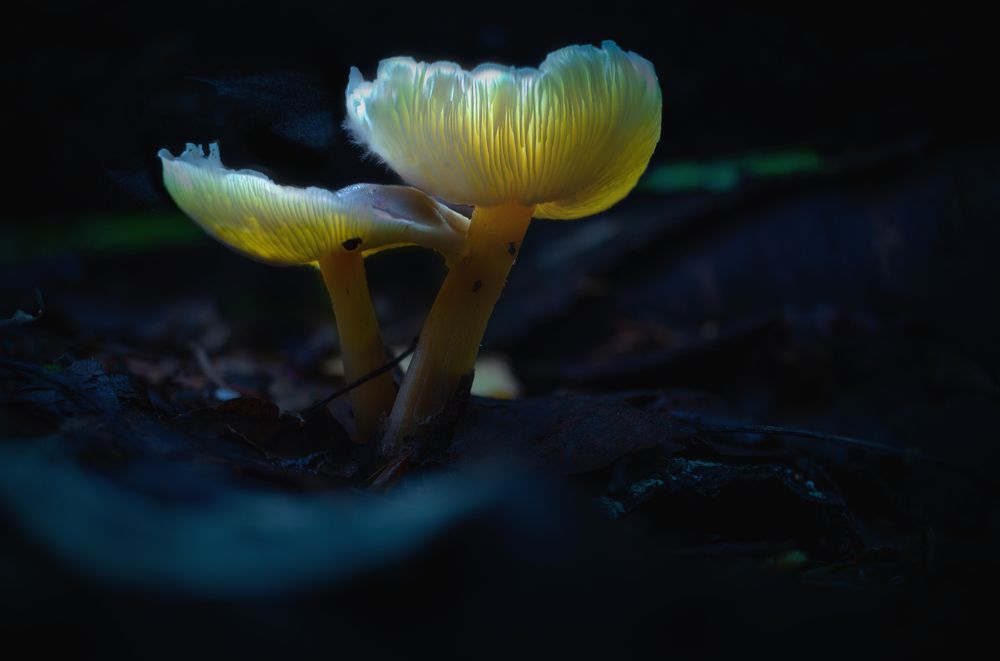 Photograph by Кокорин Алексей