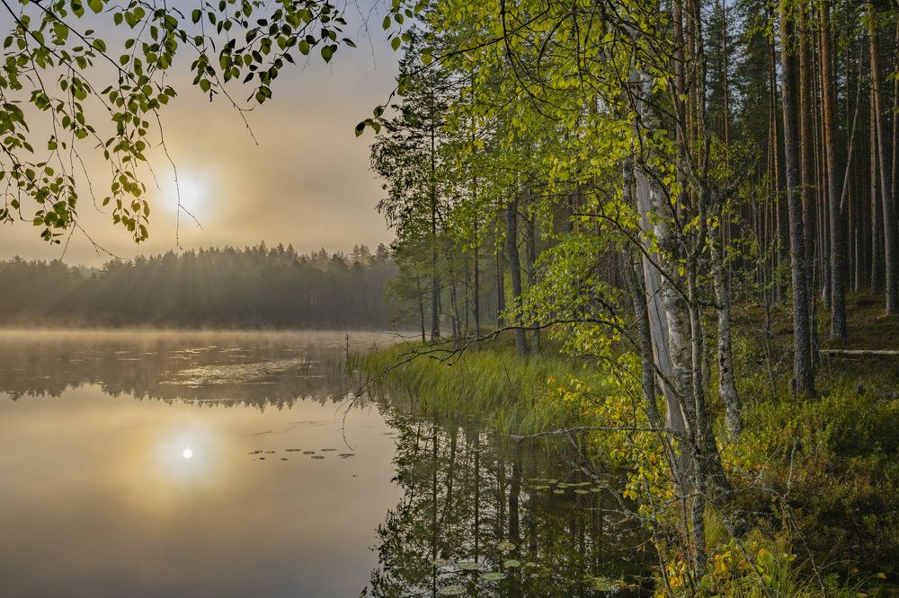 Photograph by Максим Григорьев