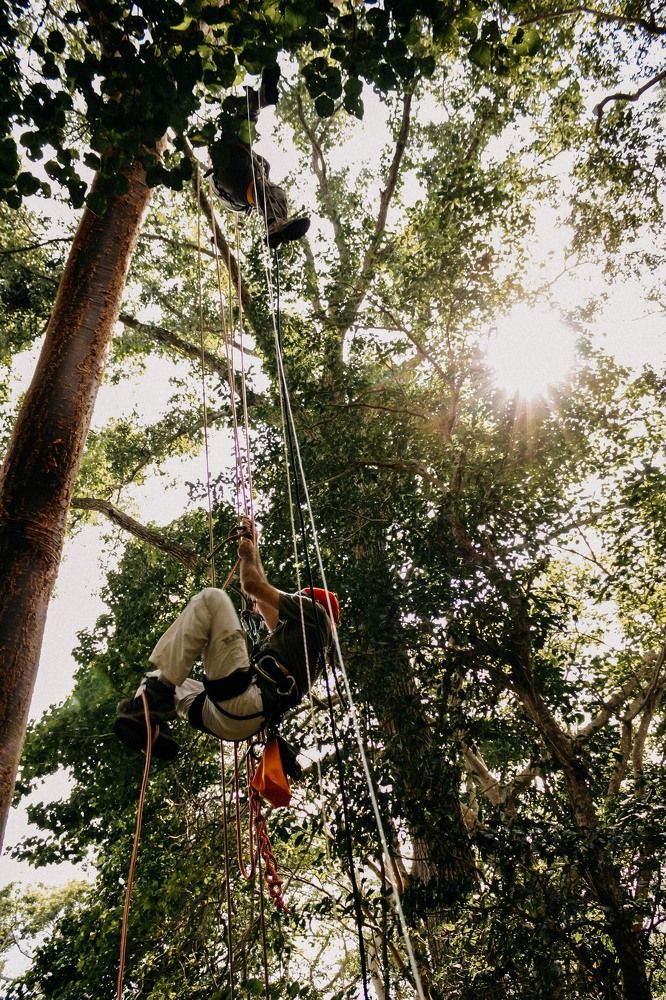 Фотография автора Delvis Romero