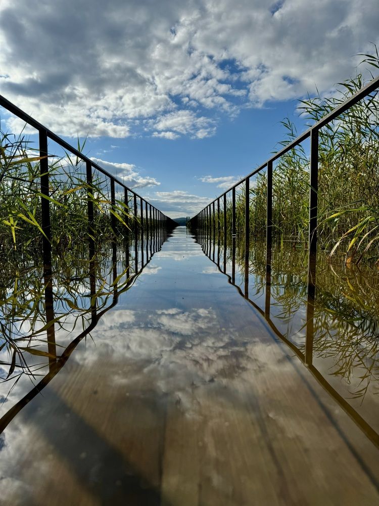 Фотография автора Евгения Елисеева