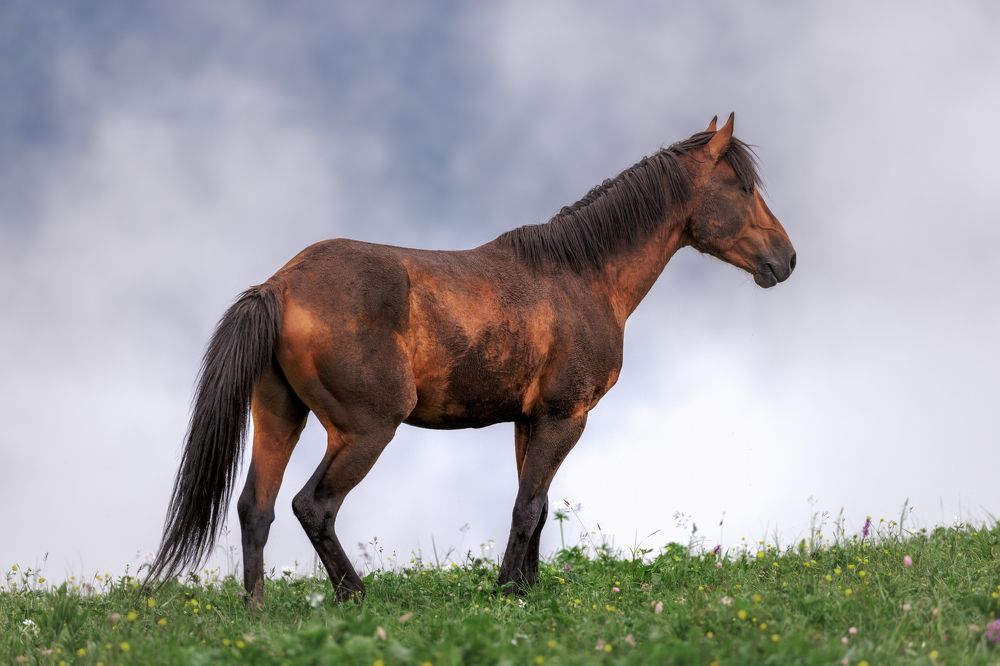 Photograph by Armen  Maitesian