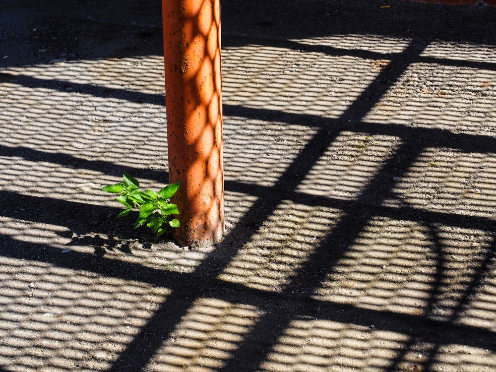 Photograph by Сергей Гаврилов