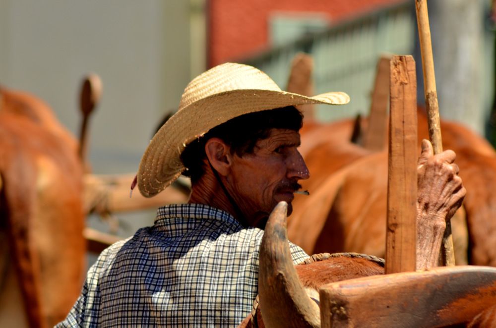 Фотография автора Edmundo Figueiredo Soares Junior