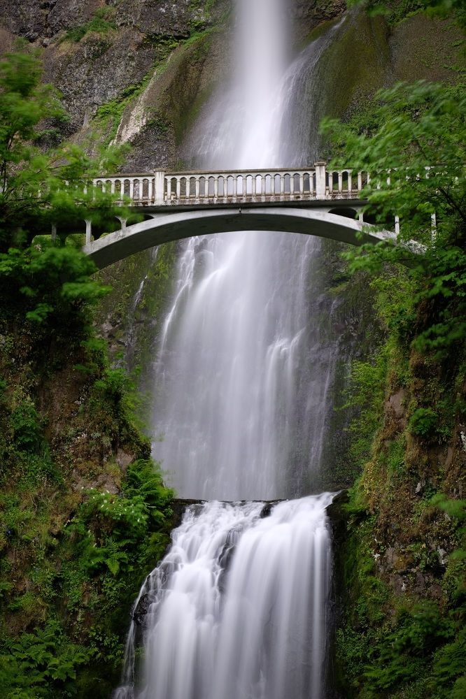 Photograph by Marina Poushkina