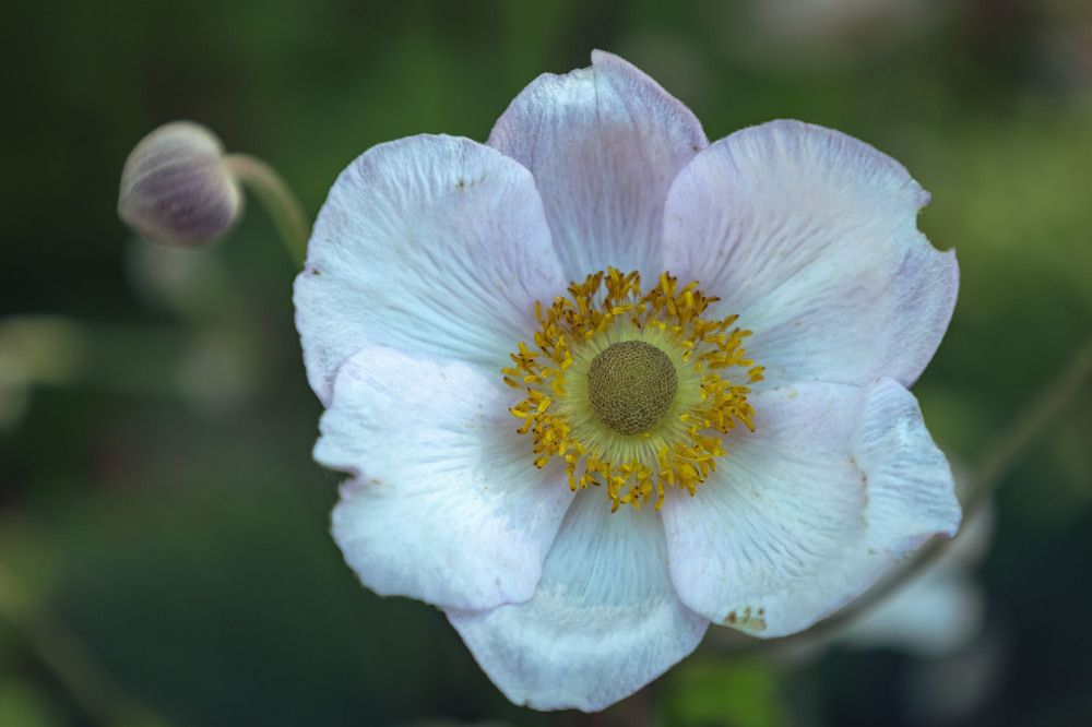 Photograph by Ольга Демидова