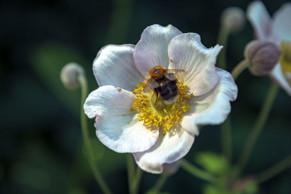 Photograph by Ольга Демидова